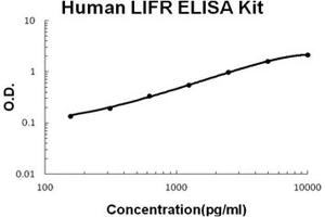 Human LIFR PicoKine ELISA Kit standard curve (LIFR Kit ELISA)