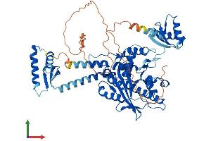 AlphaFold protein structure predicition of Mouse Recombinant Parn Protein, UniprotID Q8VDG3