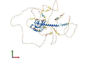 AlphaFold protein structure predicition of Mouse Recombinant Rabl6 Protein, UniprotID Q5U3K5
