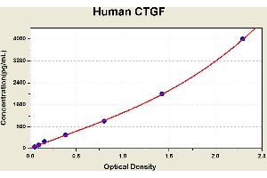 Diagramm of the ELISA kit to detect Human CTGFwith the optical density on the x-axis and the concentration on the y-axis. (CTGF Kit ELISA)