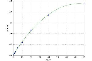 Histone Deacetylase 1 (HDAC1) ELISA Kit