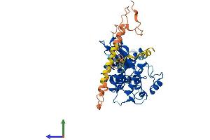 AlphaFold protein structure predicition of Mouse Recombinant Stk40 Protein, UniprotID Q7TNL3