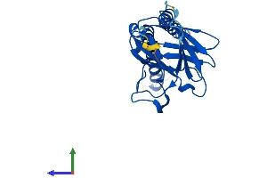 AlphaFold protein structure predicition of Human Recombinant MT-CO2 Protein, UniprotID P00403