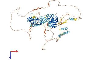 AlphaFold protein structure predicition of Human Recombinant BANK1 Protein, UniprotID Q8NDB2