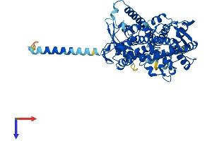 AlphaFold protein structure predicition of Human Recombinant CYP1B1 Protein, UniprotID Q16678