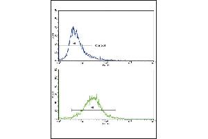 Flow cytometric analysis of 293 cells using COL6A1 Antibody (N-term)(bottom histogram) compared to a negative control cell (top histogram).