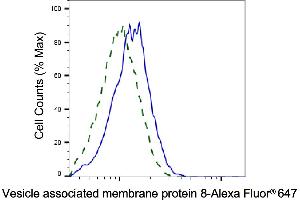 Validation of Vesicle associated membrane protein 8 knockdown using flow cytometry.