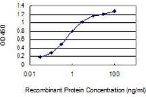 Detection limit for recombinant GST tagged CKM is 0.