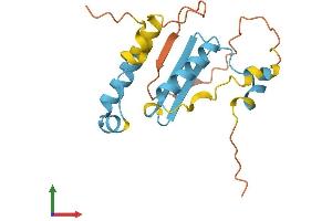 AlphaFold protein structure predicition of Human Recombinant PMS2P3 Protein, UniprotID Q13401