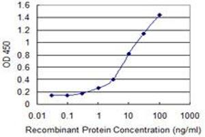 Detection limit for recombinant GST tagged ADNP is 0. (ADNP anticorps  (AA 1018-1102))
