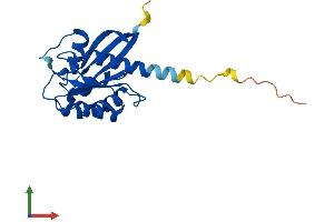 AlphaFold protein structure predicition of Human Recombinant RAB9B Protein, UniprotID Q9NP90