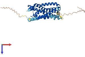 AlphaFold protein structure predicition of Mouse Recombinant Ccr5 Protein, UniprotID P51682