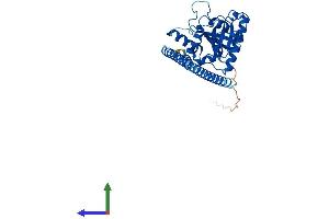 AlphaFold protein structure predicition of Human Recombinant GIMAP5 Protein, UniprotID Q96F15