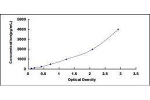 Procollagen, Type I ELISA Kit