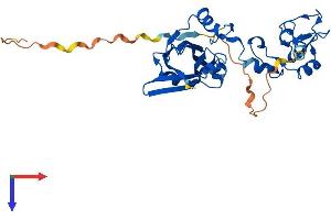 AlphaFold protein structure predicition of Human Recombinant SIAH2 Protein, UniprotID O43255