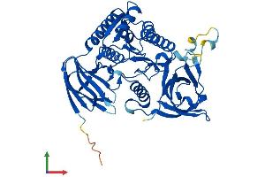 AlphaFold protein structure predicition of Mouse Recombinant Clp1 Protein, UniprotID Q99LI9