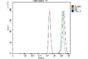 Flow Cytometry analysis of Caco-2 cells using anti-TTLL12 antibody (ABIN7602497). (TTLL12 anticorps  (AA 8-634))