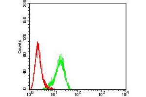 Flow cytometric analysis of Hela cells using FOLR1 mouse mAb (green) and negative control (red).