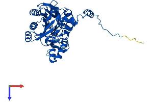 AlphaFold protein structure predicition of Mouse Recombinant Upb1 Protein, UniprotID Q8VC97