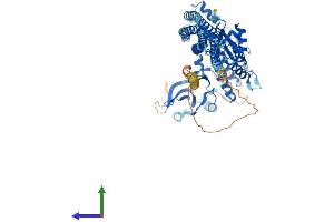 AlphaFold protein structure predicition of Mouse Recombinant Chuk Protein, UniprotID Q60680