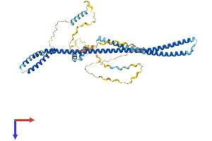 AlphaFold protein structure predicition of Human Recombinant PDCD7 Protein, UniprotID Q8N8D1