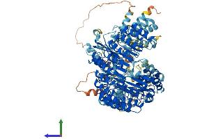 AlphaFold protein structure predicition of Mouse Recombinant Nlrp12 Protein, UniprotID E9Q5R7