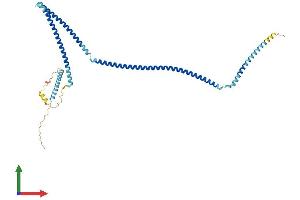 AlphaFold protein structure predicition of Mouse Recombinant Ccdc113 Protein, UniprotID Q8C5T8