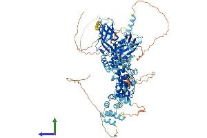 AlphaFold protein structure predicition of Human Recombinant NFKB2 Protein, UniprotID Q00653