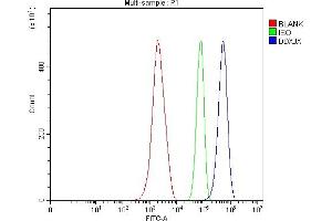 Flow Cytometry analysis of ANA-1 cells using anti-ADAR1/ADAR antibody (ABIN7603211). (DDX3X anticorps  (N-Term))