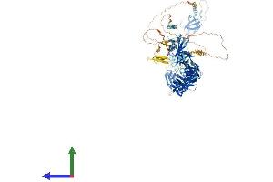 AlphaFold protein structure predicition of Mouse Recombinant Fndc3a Protein, UniprotID Q8BX90