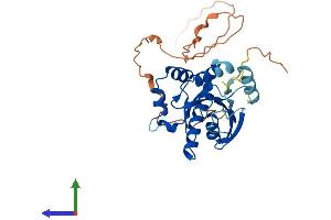 AlphaFold protein structure predicition of Mouse Recombinant Gimap6 Protein, UniprotID Q8K349