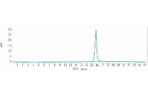 The purity of Anti-KAAG1 Reference Antibody (ADCT-901) is more than 95 % , determined by SEC-HPLC. (Recombinant KAAG1 anticorps)