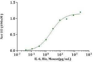 IL-6, Mouse stimulates cell proliferation of 7TD1 cells.
