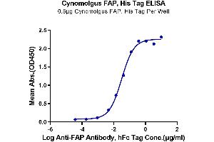 Immobilized Cynomolgus FAP at 5 μg/mL (100 μL/well) on the plate. (FAP Protein (AA 26-760) (His tag))