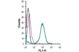 Cell surface detection of EphA6 in live intact human THP-1 monocytic leukemia cells: (black line) Cells.