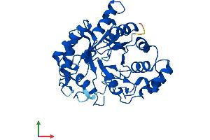 AlphaFold protein structure predicition of Human Recombinant AKR1C3 Protein, UniprotID P42330