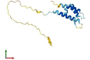 AlphaFold protein structure predicition of Human Recombinant PPP1R14D Protein, UniprotID Q9NXH3
