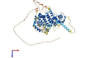 AlphaFold protein structure predicition of Human Recombinant ARHGAP18 Protein, UniprotID Q8N392