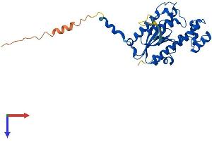 AlphaFold protein structure predicition of Mouse Recombinant Thg1l Protein, UniprotID Q9CY52