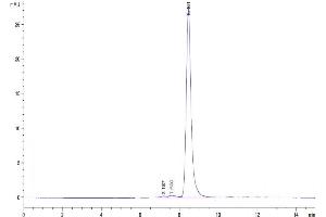 The purity of Cynomolgus SPARC is greater than 95 % as determined by SEC-HPLC.