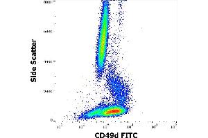Flow cytometry surface staining pattern of human peripheral whole blood stained using anti-human CD49d (9F10) FITC antibody (4 μL reagent / 100 μL of peripheral whole blood).
