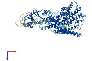 AlphaFold protein structure predicition of Human Recombinant CLCNKB Protein, UniprotID P51801