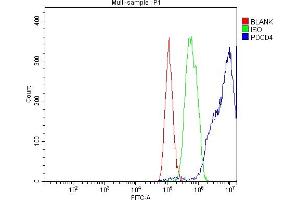 Flow Cytometry analysis of HepG2 cells using anti-PDCD4 antibody (ABIN5518943). (PDCD4 anticorps  (AA 346-446))