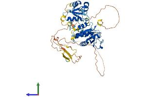 AlphaFold protein structure predicition of Mouse Recombinant Dusp10 Protein, UniprotID Q9ESS0
