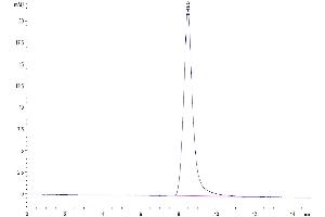 The purity of Mouse CD52 is greater than 95 % as determined by SEC-HPLC.