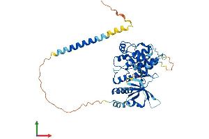 AlphaFold protein structure predicition of Human Recombinant STYK1 Protein, UniprotID Q6J9G0