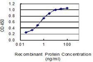 anti-Arginine Vasopressin (AVP) (AA 20-124) antibody