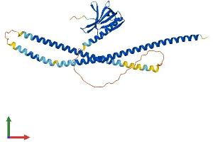 AlphaFold protein structure predicition of Human Recombinant HOMER3 Protein, UniprotID Q9NSC5