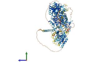 AlphaFold protein structure predicition of Mouse Recombinant Map3k6 Protein, UniprotID Q9WTR2
