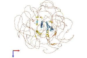 AlphaFold protein structure predicition of Human Recombinant BCL9 Protein, UniprotID O00512